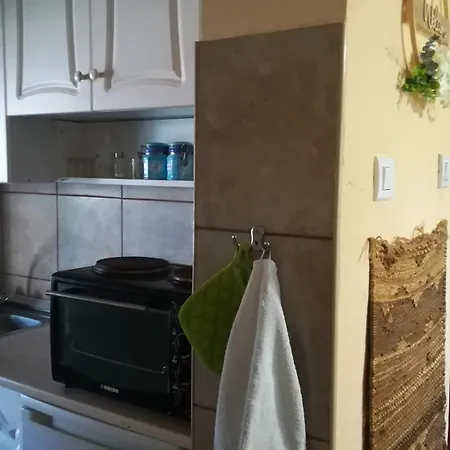 Apartment Bogi Vendeghaz