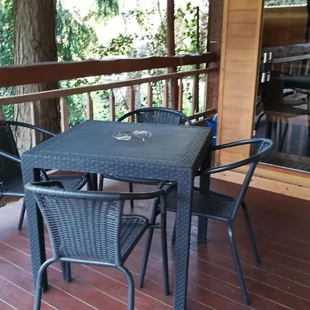 Apartament Bogi Vendeghaz *