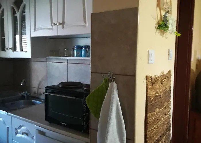 Apartment Bogi Vendeghaz